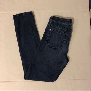 Anthro Pilcro and the Letterpress Stet Jeans (B17)